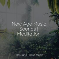 Fresh Mountain Breeze - Study Zone & Calm shores & Best Relaxing Spa Music