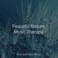 Soothing Melodious - Classical Study Music & Meditation Music Experience & Best Kids Songs
