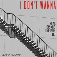 I Don't Wanna - Seth Sharp & Brikcs & Greipur & Bj