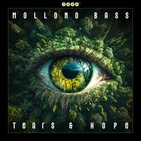 Rise & Fall - Mollono.Bass & Maz'n & Margret