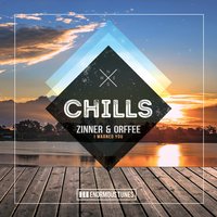 I Warned You - Zinner