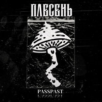 Прошлое - passpast & Po.