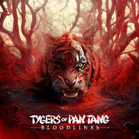 A New Heartbeat - Tygers Of Pan Tang
