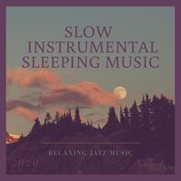 Slow Instrumental Sleeping Music - Slow Instrumental Sleeping Music