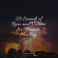 Gushing Winds - Lullaby Babies & Raindrops Sleep & ReGen