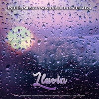 Sonidos de lluvia para estudiar - Estudiar musica - Fondo de la lectura & Musica para Concentrarse & Música para Leer
