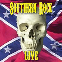 Whiskey Man - Molly Hatchet