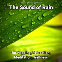The Sound of Rain for Relaxation Pt. 24 - Nature Sounds & Rain Sounds & Regengeräusche