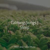 That Inner Journey - White Noise Baby Sleep & Música para Massagem Especialistas & Alpha Waves