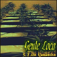 Maniacos - Gente Loca