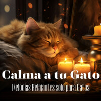 Noche de Descanso en Amarillo - Relax My Cat & Cat Music Dreams & Cat Music Zone