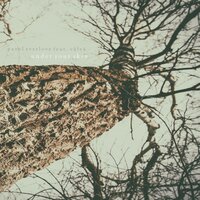 Under Your Skin - Pavel Svetlove & Vâlvâ & Wild Dark & ariaano