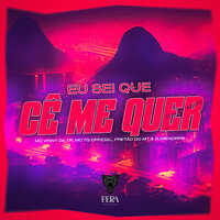 Eu Sei Que Cê Me Quer - MC VINNY DA TR & pretão do mt & mc tg official