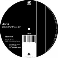 Black Panthers - Astin