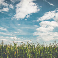 Close Your Eyes - Powerthoughts Meditation Club & Sunset Chill Out Music Zone & Musica para Estudiar