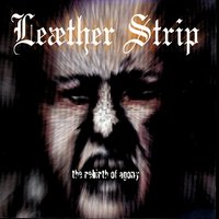 Switch On - Switch Off - Leæther Strip