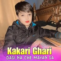 Liz Ya Dai Ka Shaista - Kakari Ghari