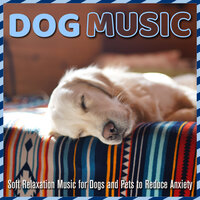 Lifelong Companion - Relax My Dog & Dog Music Dreams & RelaxMyDog