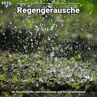 Regengeräusche, pt. 68 - Regengeräusche zum Einschlafen Franco Rodewig & Regengeräusche & Naturgeräusche