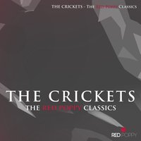 So You're in Love - The Crickets