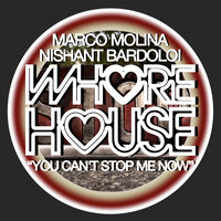 You Can't Stop Me Now - Marco Molina & Nishant Bardoloi