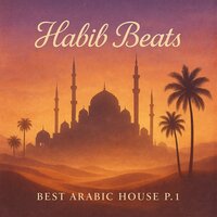 Moonlight Bazaar - Habib Beats