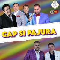 M-AS DUCE PE O CARARE - Florin Salam & Adrian Minune & Nicolae Guta & Jean de la Craiova & Vali Vijelie & Narcis