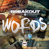 Player - Breakout