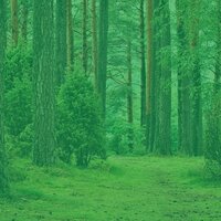 Звуки (Чтение книг) - Музыка для чтения Bgm