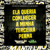 Ela Queria Conlhecer a Minha Terceira Perna - MC Zoio Da Fazendinha & DJ LEO NO BEAT