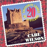 When You And I Were Young Maggie - Carl Wilson