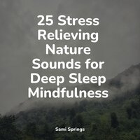 Rain, Glass, Window Pane - Rain for Deep Sleep & Sonidos De La Naturaleza & Lightning
