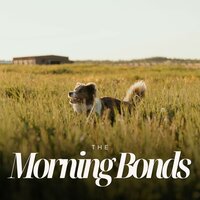 Moon's Playful Stories - Puppy Music