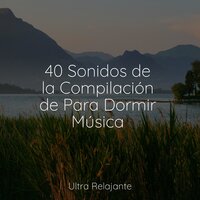 Prados Calmados - Massagem Música & Sons da natureza HD & Naturaleza