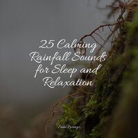 Rain in the City - Alpha Waves & Yoga Sounds & Rain Sounds Sleep