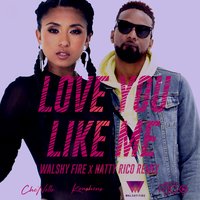 Love You Like Me - Che'Nelle & Konshens