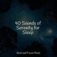 Chimes of Healing - Massagem & Sleep Waves & The White Noise Zen & Meditation Sound Lab