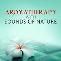 Indigo Moon - Sensual Massage Sanctuary