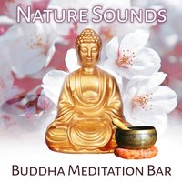 Nature Sounds - Buddhism Academy