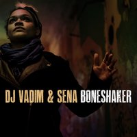 Boneshaker - DJ Vadim & Mr Bird & Sena