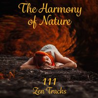 Oriental Massage - Zen Soothing Sounds of Nature