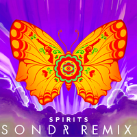Spirits - The Strumbellas & Sondr
