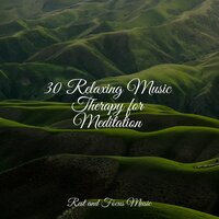 Nature's Piano - Deep Sleep Music Experience & Natureza Musica Bem-Estar Academia & Chakra Meditation Universe