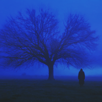 Lingering - Our Silence