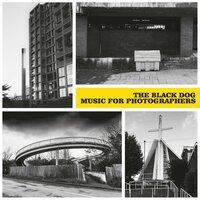 For the Love of Tish - The Black Dog