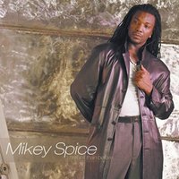 Grab Yu Lass - Mikey Spice & Louie Culture