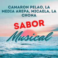 Camaron Pelao / La Media Arepa / Micaela / La Chona - Sabor Musical