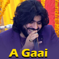 Aadi Koi Nai - Zeeshan Khan Rokhri