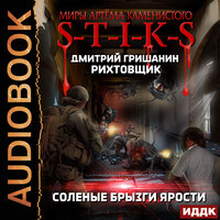 Дмитрий Гришанин. «Миры Артёма Каменистого. S-T-I-K-S. Рихтовщик. Книга 5. Соленые брызги ярости». Часть 16 - Роман Попов