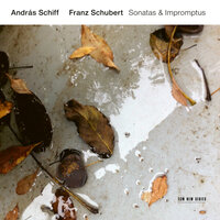 Schubert: Piano Sonata No. 19 in C Minor, D. 958 - 3. Menuetto (Allegro) - Andras Schiff & Франц Шуберт